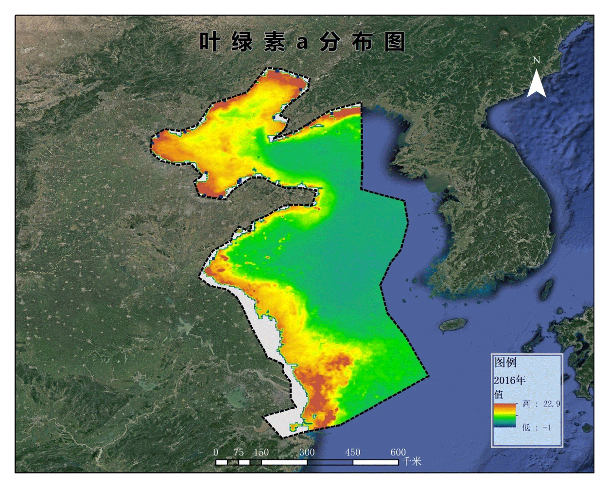 葉綠素.gif